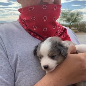 Meet your Posher, Cameron